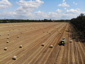 32 x Rundballen Stroh / ca. 1,35 m im Durchmesser - inkl. 7 % MwSt.